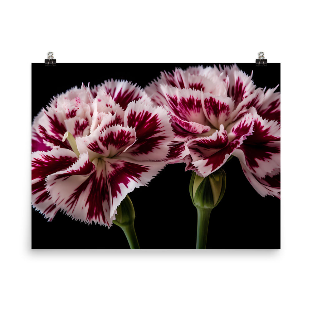 Unique Striped Carnations photo paper poster - Posterfy.AI
