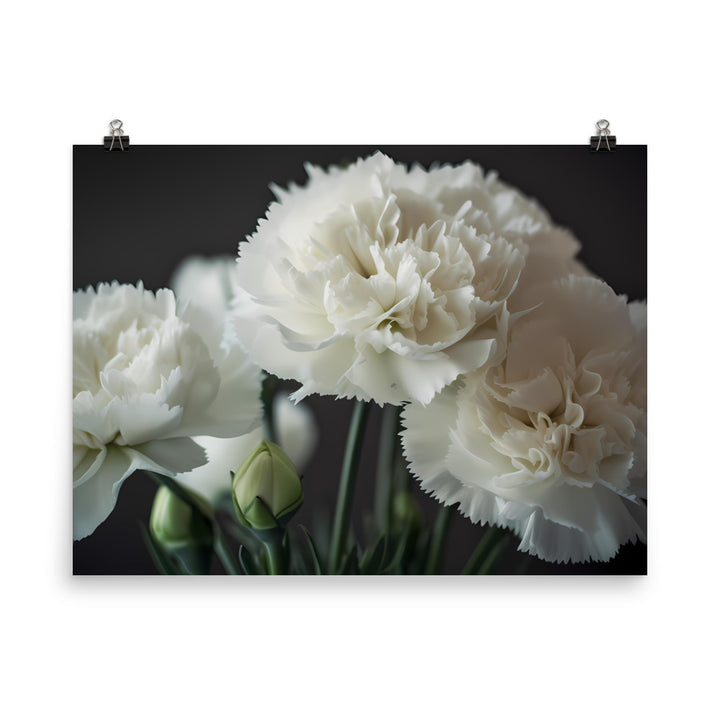 Elegant White Carnations photo paper poster - Posterfy.AI