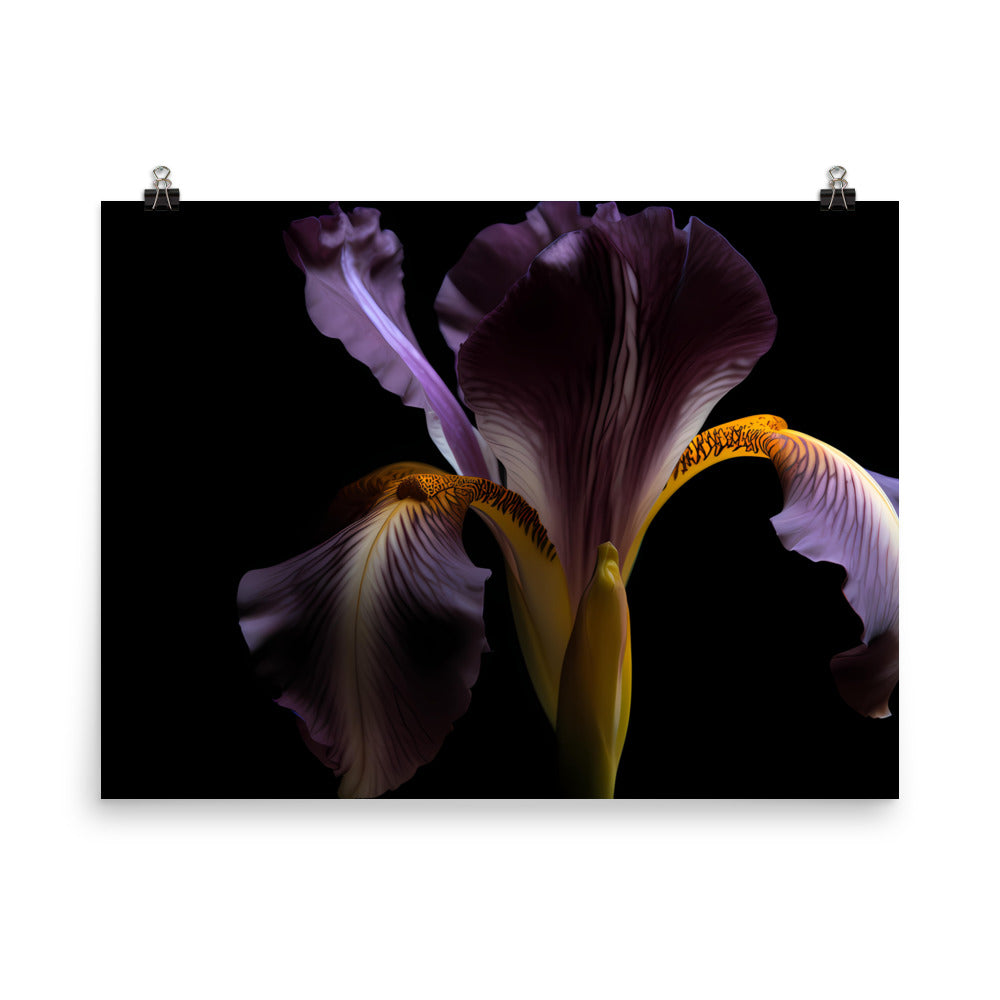 Dramatic Contrast botanical photo paper poster - Posterfy.AI