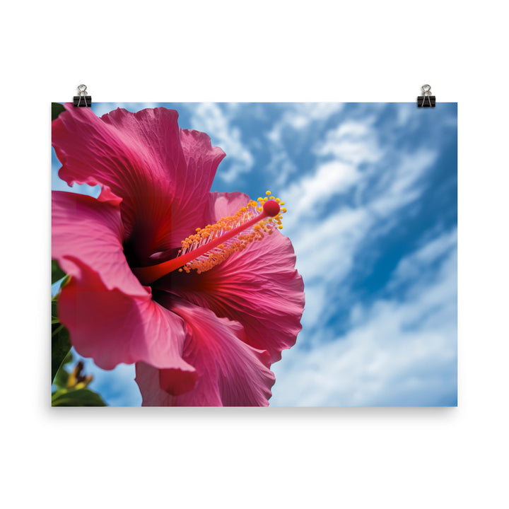 Hibiscus Flower Against a Blue Sky photo paper poster - Posterfy.AI