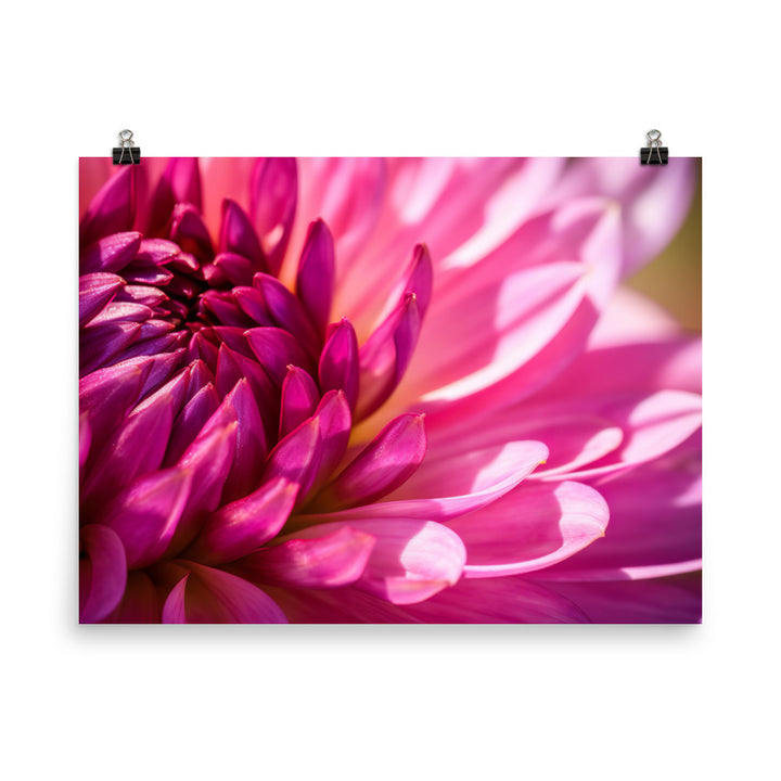 Vibrant Dahlia Under Sunlight photo paper poster - Posterfy.AI