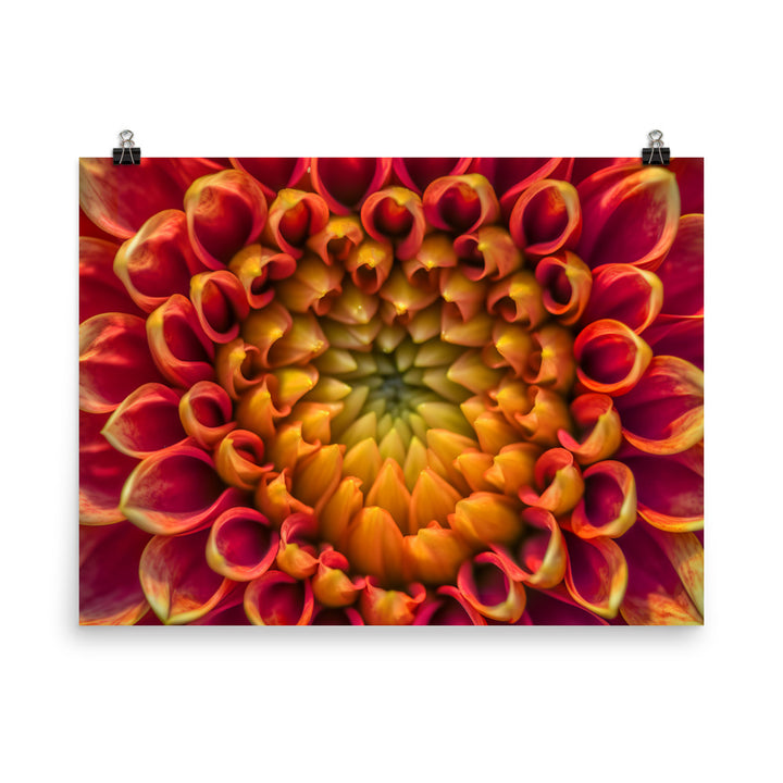 Close-Up of Dahlia Center photo paper poster - Posterfy.AI