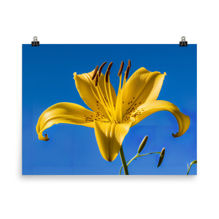 Yellow Lily Against the Sky photo paper poster - Posterfy.AI