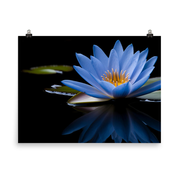 Blue Lily in the Pond photo paper poster - Posterfy.AI