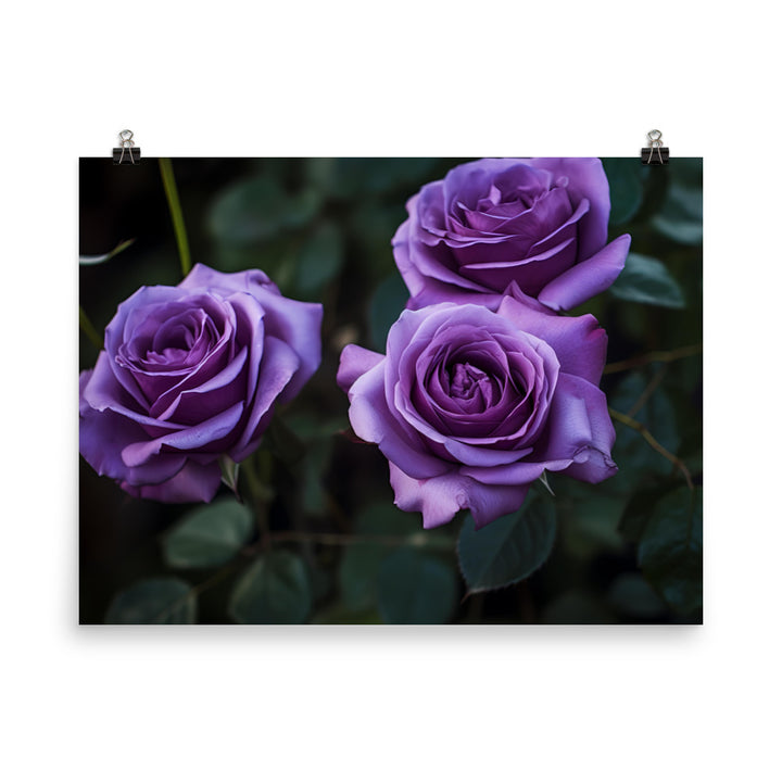Regal Purple Roses photo paper poster - Posterfy.AI