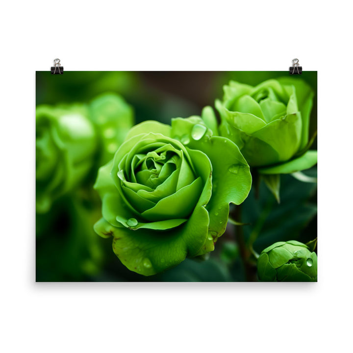 Refreshing Green Roses photo paper poster - Posterfy.AI