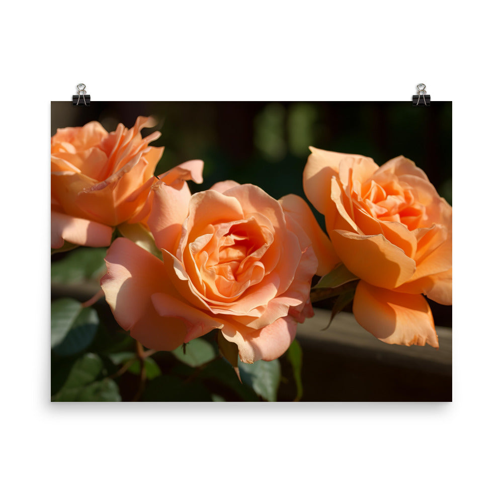 Lively Orange Roses photo paper poster - Posterfy.AI