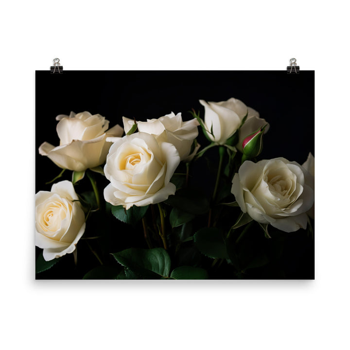 Classic White Roses photo paper poster - Posterfy.AI