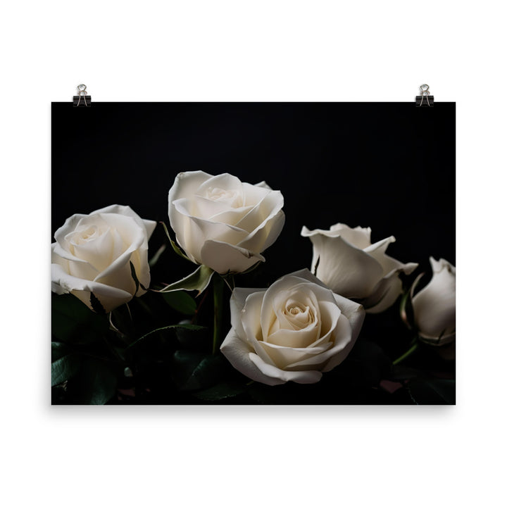 Classic White Roses photo paper poster - Posterfy.AI