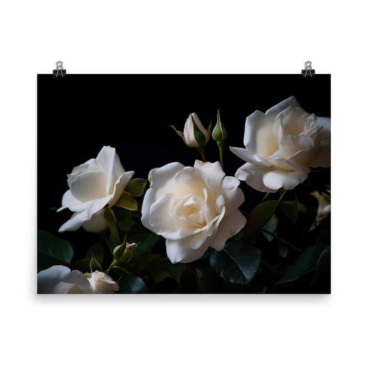 Classic White Roses photo paper poster - Posterfy.AI