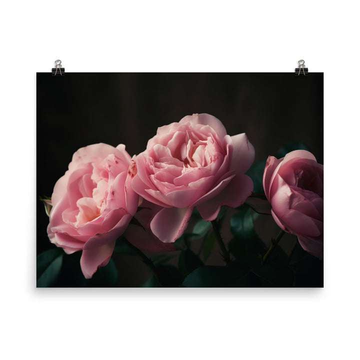 Blushing Pink Roses photo paper poster - Posterfy.AI