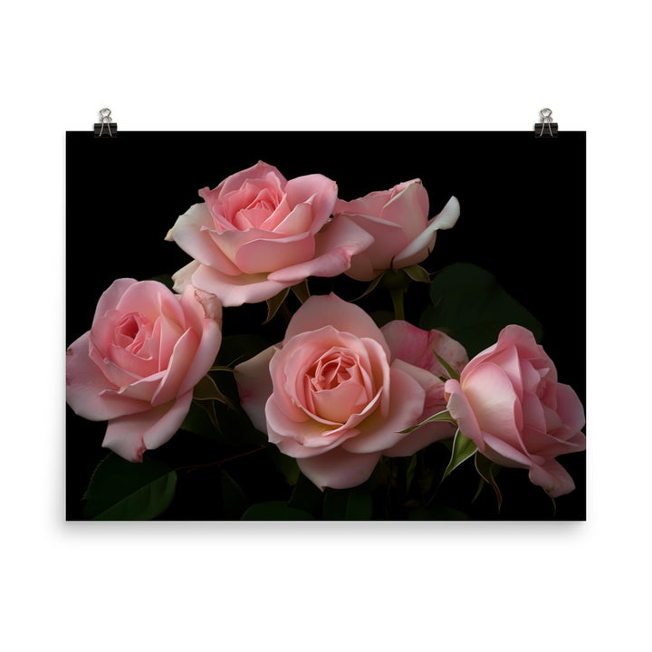 Blushing Pink Roses photo paper poster - Posterfy.AI