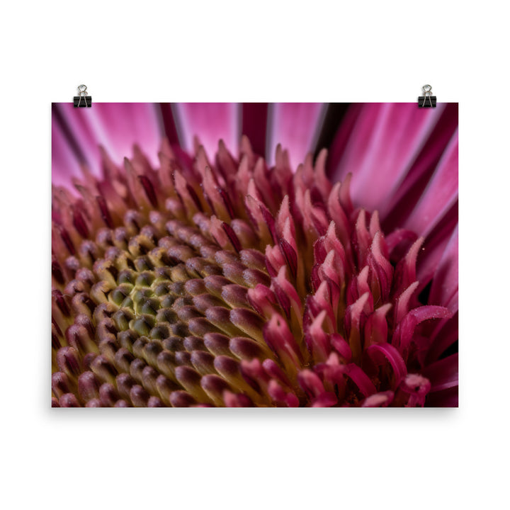 Macro Majesty photo paper poster - Posterfy.AI