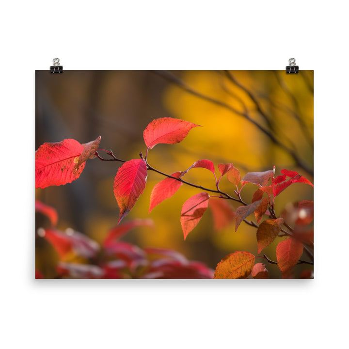 Vibrant Fall Foliage photo paper poster - Posterfy.AI