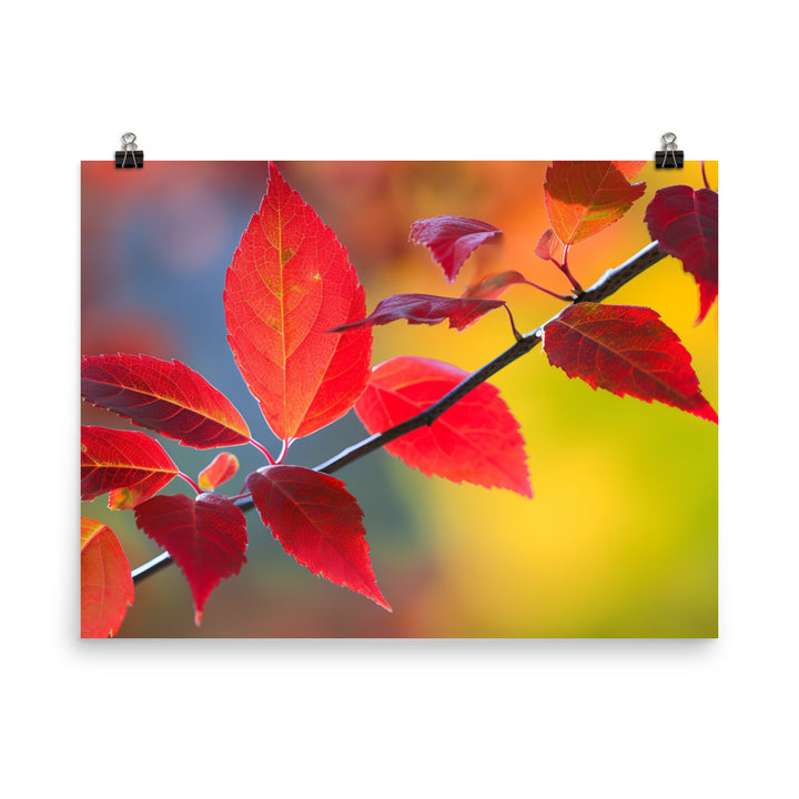 Vibrant Fall Foliage photo paper poster - Posterfy.AI