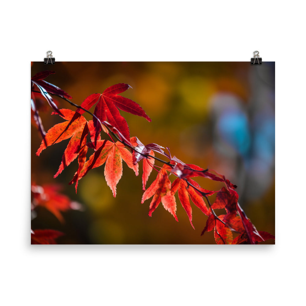 Vibrant Fall Foliage photo paper poster - Posterfy.AI