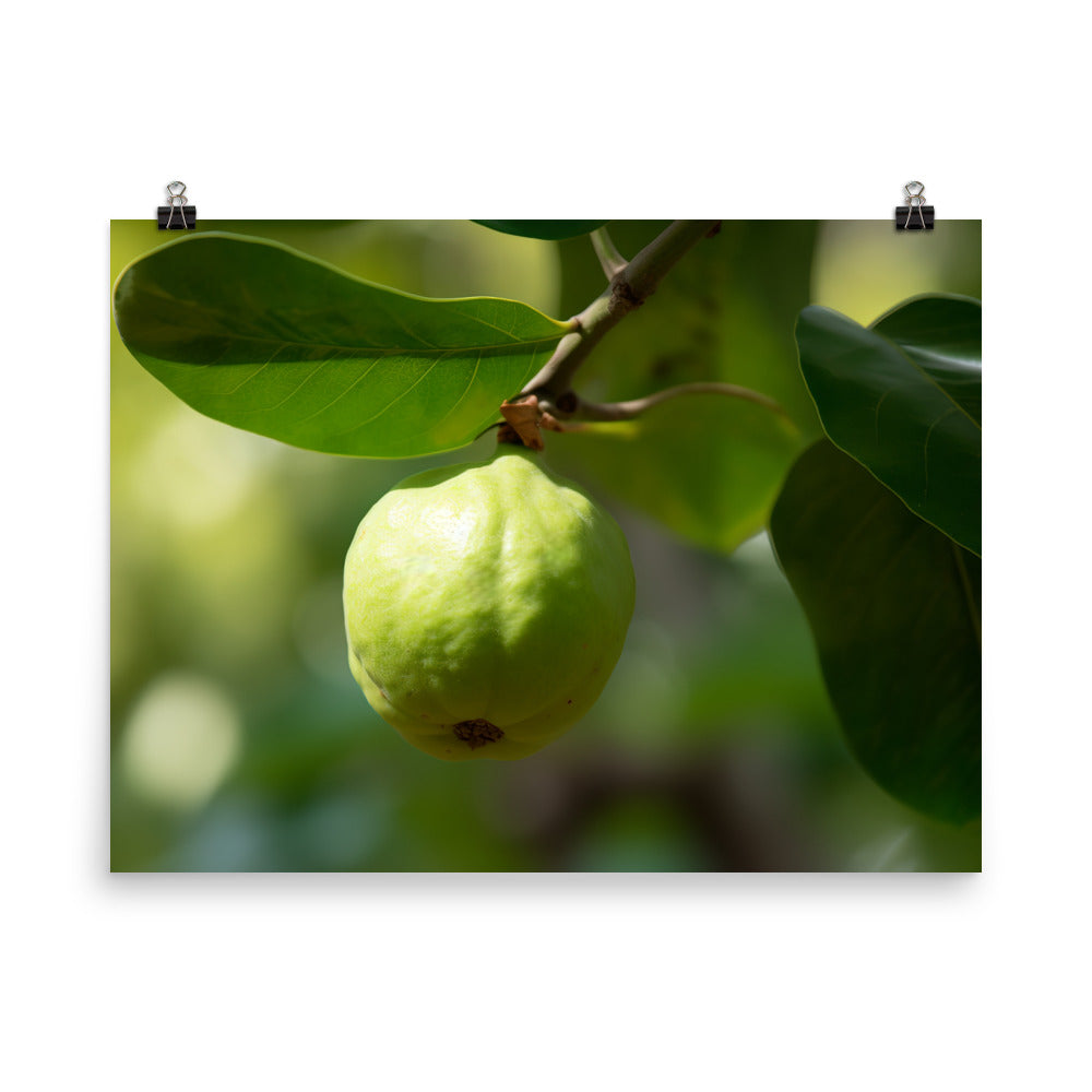 Guava on the Tree photo paper poster - Posterfy.AI