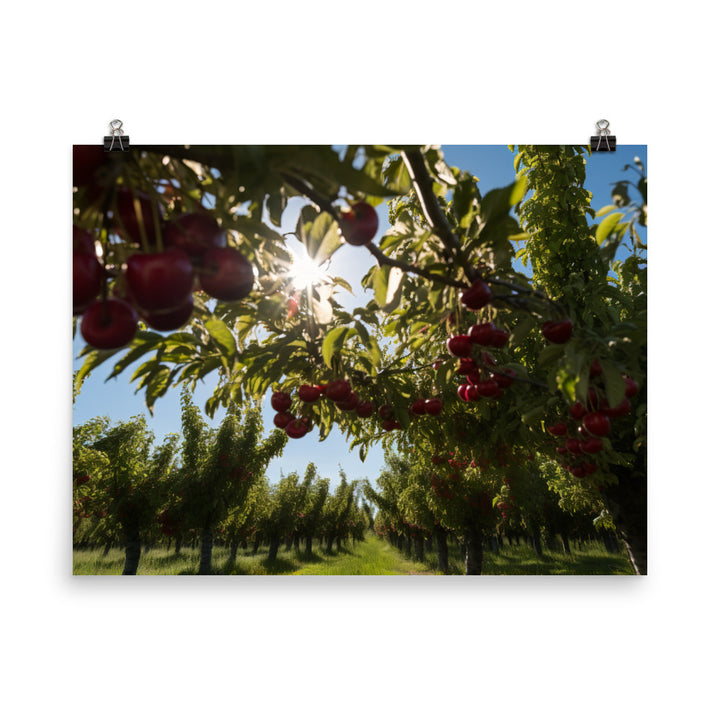 Cherry Picking Season photo paper poster - Posterfy.AI