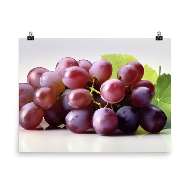 Fresh Grapes photo paper poster - Posterfy.AI