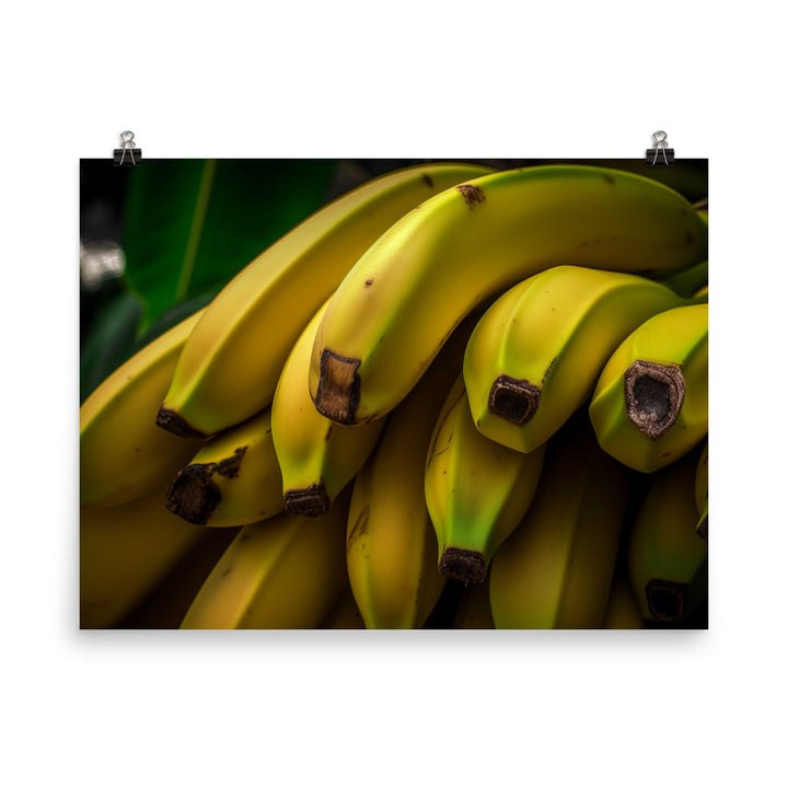 Banana photo paper poster - Posterfy.AI