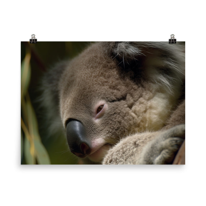 Sleepy Koala Snuggled Up in a Tree photo paper poster - Posterfy.AI