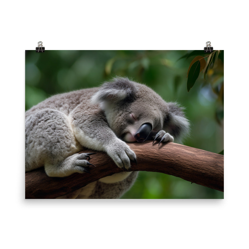 Koala Taking a Nap on a Tree Branch photo paper poster - Posterfy.AI