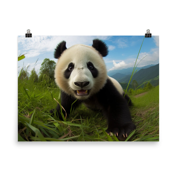 Panda Playtime photo paper poster - Posterfy.AI