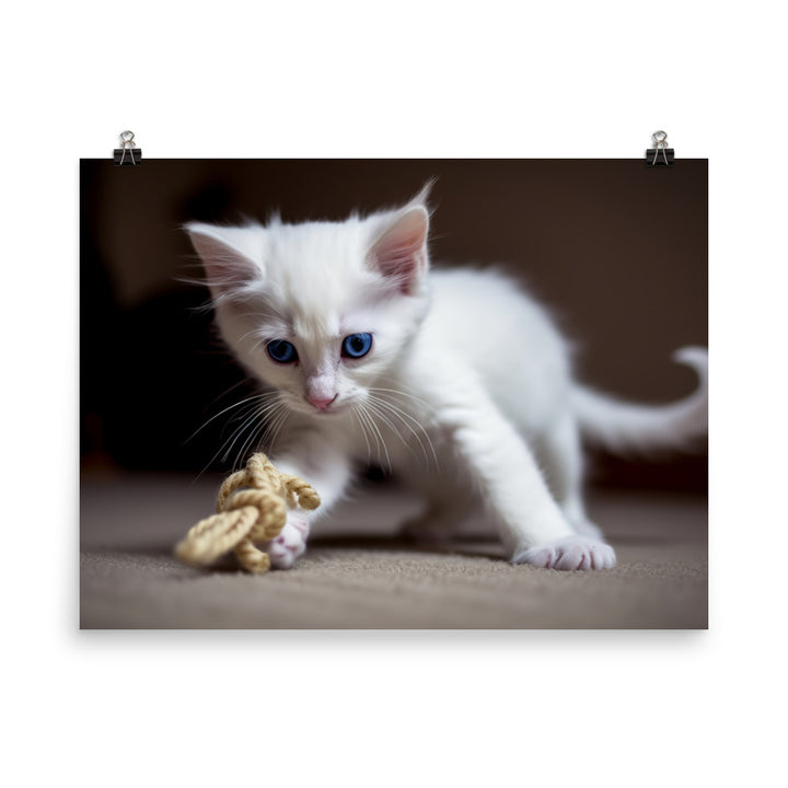 Adorable Turkish Angora kitten playing with a toy photo paper poster - Posterfy.AI