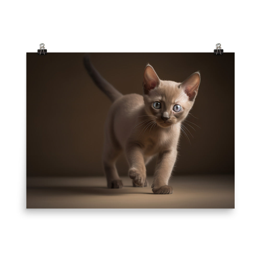 The Playful Burmese Kitten photo paper poster - Posterfy.AI