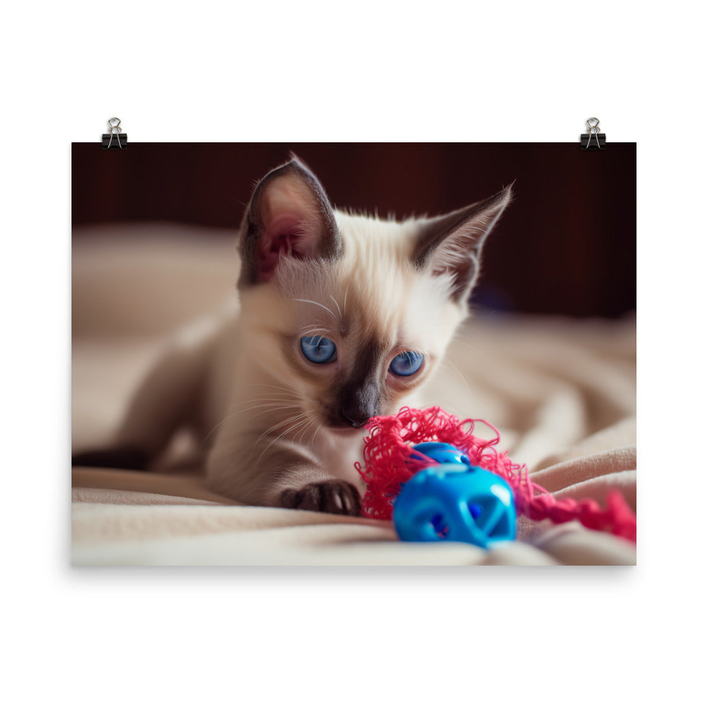 Adorable Balinese Kitten Playing with Toy photo paper poster - Posterfy.AI