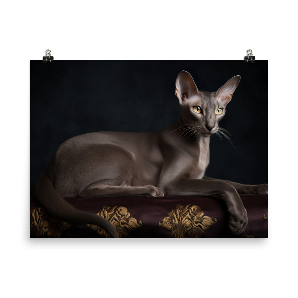 Majestic Oriental Shorthair on Velvet photo paper poster - Posterfy.AI