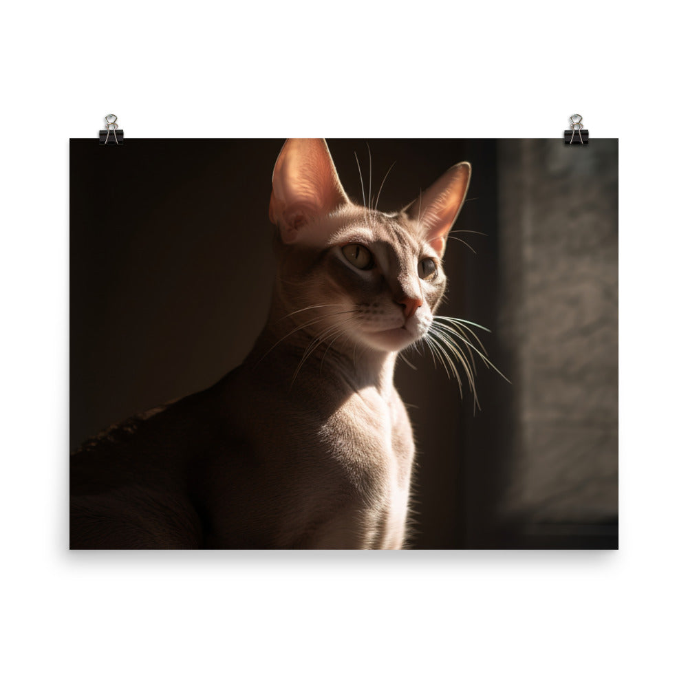 Curious Oriental Shorthair in Sunlight photo paper poster - Posterfy.AI