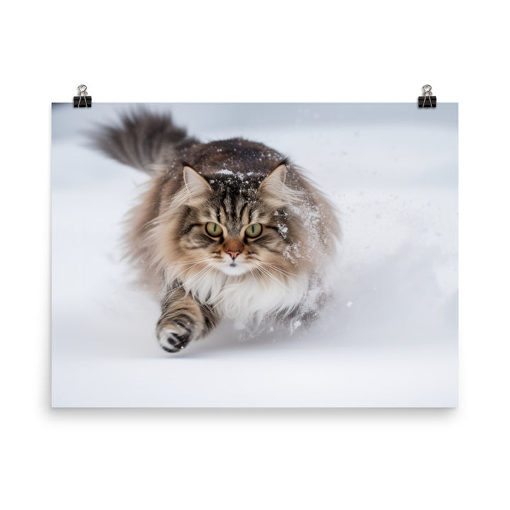 Norwegian Forest Cat Playing in the Snow photo paper poster - Posterfy.AI