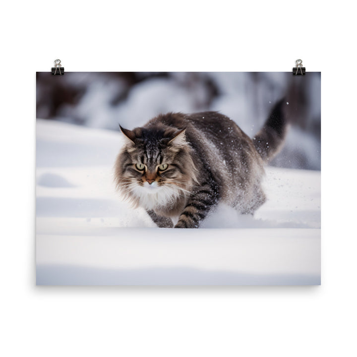 Norwegian Forest Cat Playing in the Snow photo paper poster - Posterfy.AI