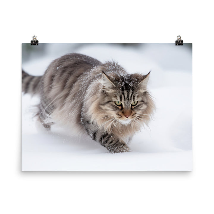 Norwegian Forest Cat Playing in the Snow photo paper poster - Posterfy.AI