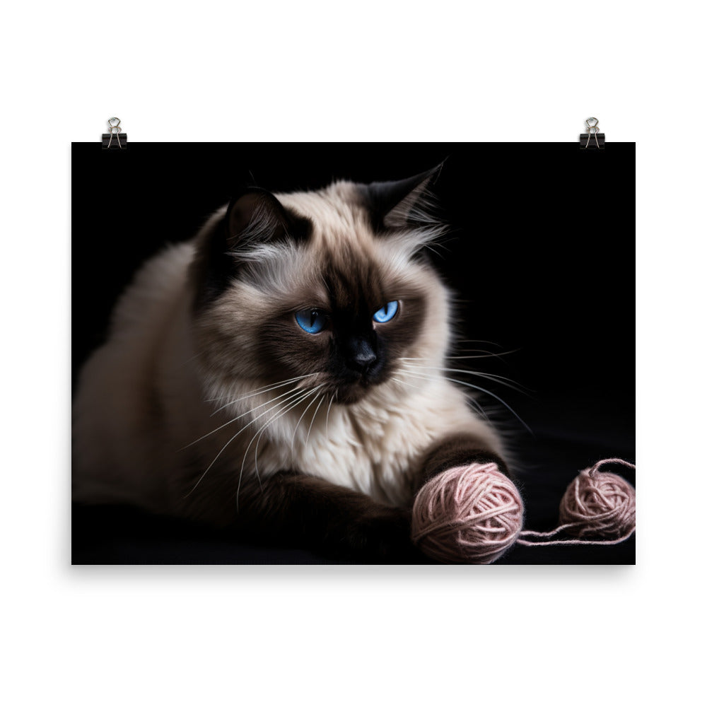 Himalayan cat playing with a ball of yarn photo paper poster - Posterfy.AI