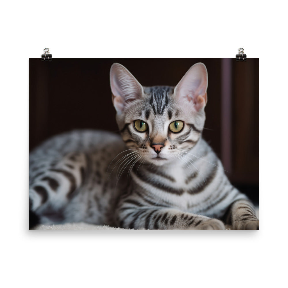 Portrait session with Egyptian Mau kitten photo paper poster - Posterfy.AI