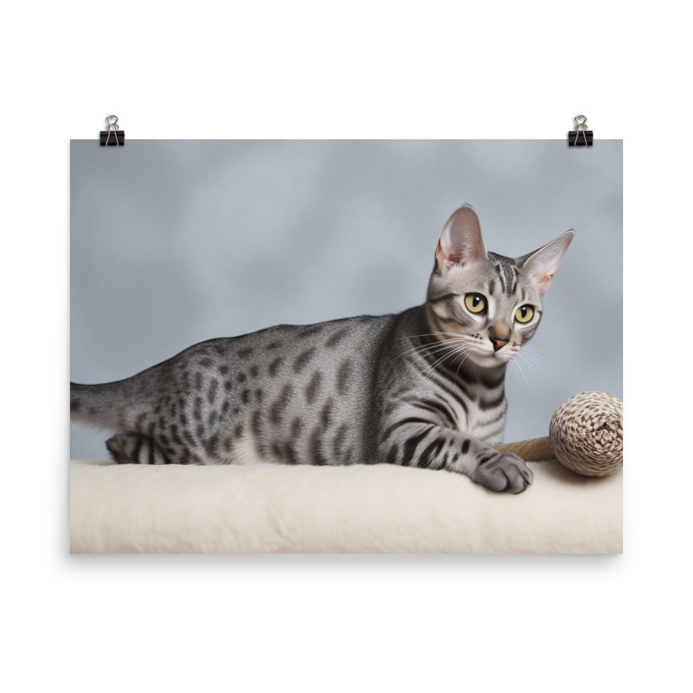 Egyptian Mau playing with toys  photo paper poster - Posterfy.AI