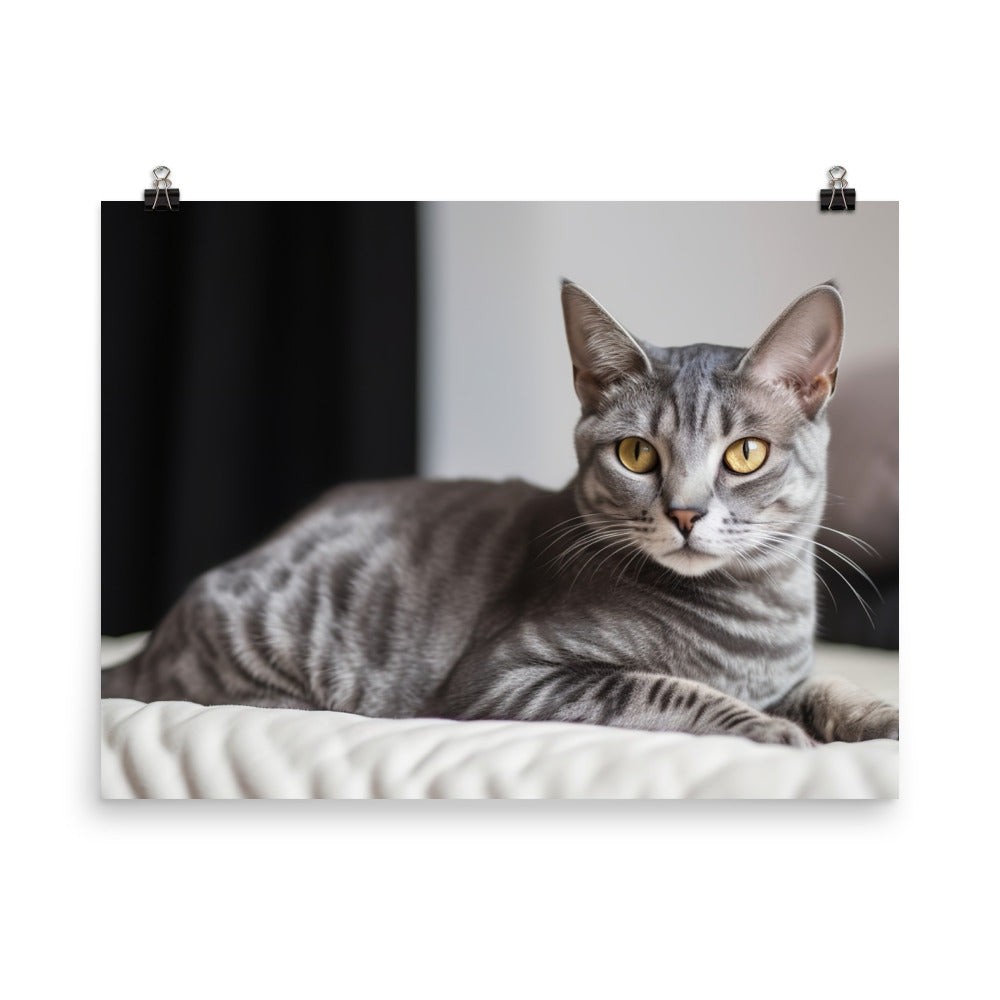 Egyptian Mau lounging photo paper poster - Posterfy.AI