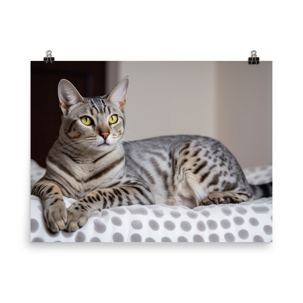 Egyptian Mau lounging photo paper poster - Posterfy.AI