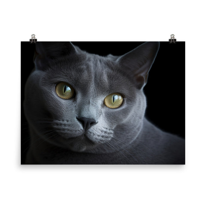 Russian Blue Royalty photo paper poster - Posterfy.AI