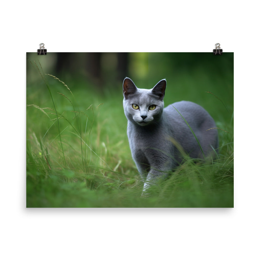 Russian Blue in Natures Playground photo paper poster - Posterfy.AI