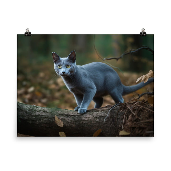 Russian Blue in Natures Playground photo paper poster - Posterfy.AI