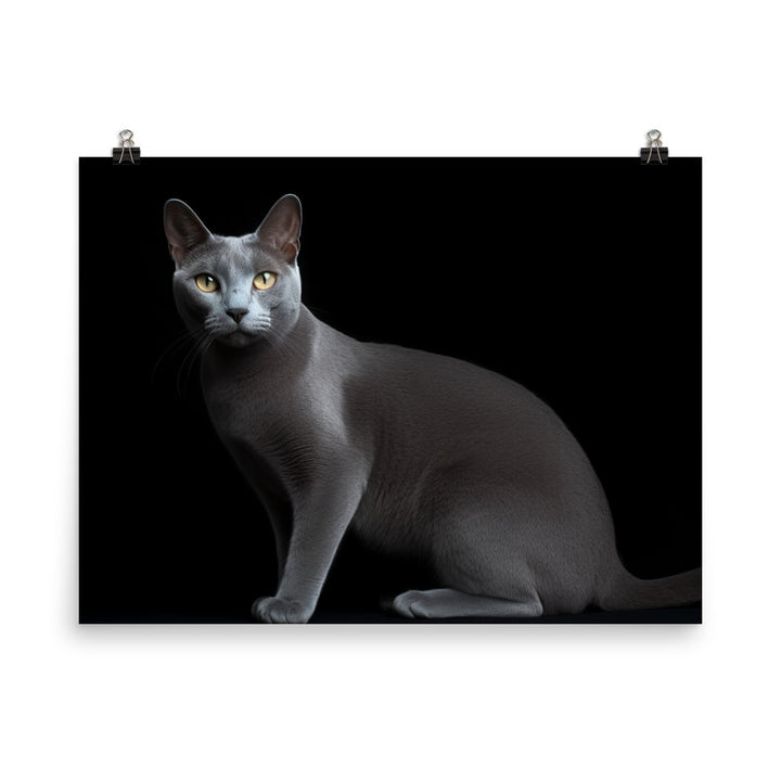 Russian Blue Elegance photo paper poster - Posterfy.AI