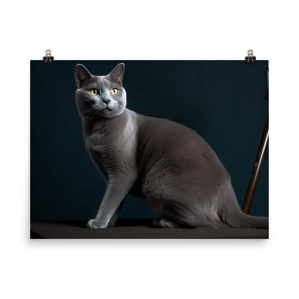 Russian Blue Elegance photo paper poster - Posterfy.AI