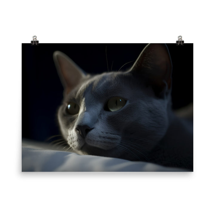 Dreamy Nights with Russian Blue photo paper poster - Posterfy.AI