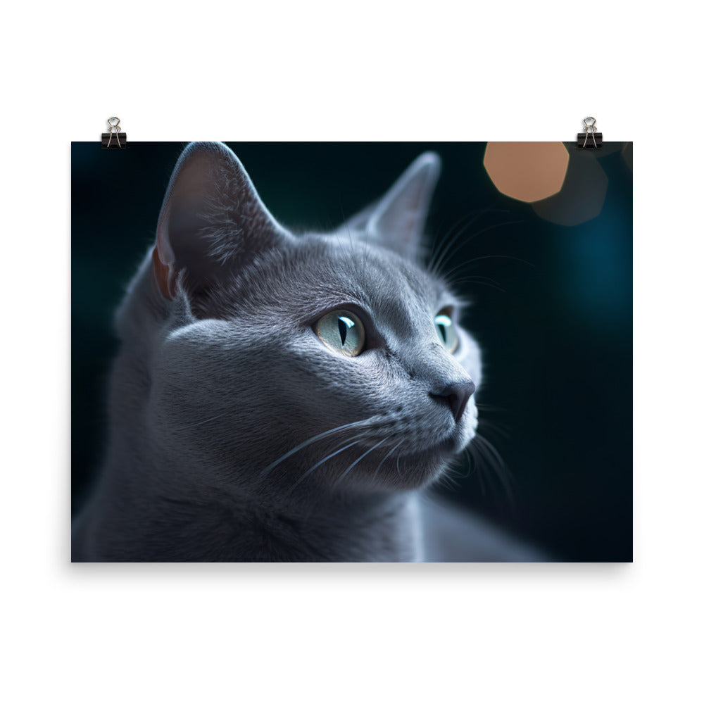 Dreamy Nights with Russian Blue photo paper poster - Posterfy.AI