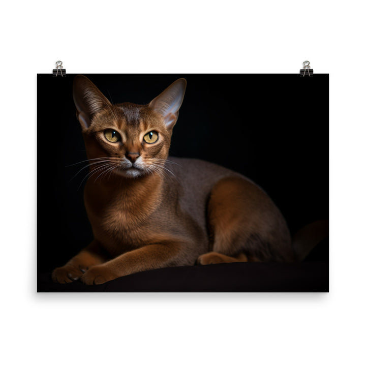 Adorable Abyssinian posing for the camera photo paper poster - Posterfy.AI