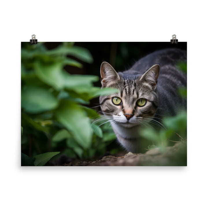 Curious American Shorthair exploring the garden photo paper poster - Posterfy.AI