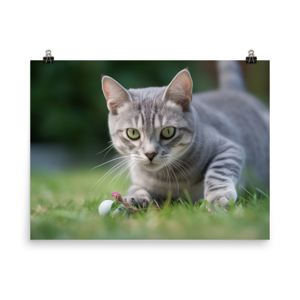 Adorable American Shorthair playing with toy mouse photo paper poster - Posterfy.AI